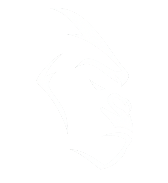 Silverback Digital